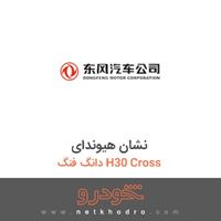 نشان هیوندای دانگ فنگ H30 Cross 