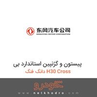 پیستون و گژنپین استاندارد بی دانگ فنگ H30 Cross 