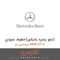 جلو پنجره رادیاتور(خطوط عمودی) مرسدس بنز AMG GT S 2016