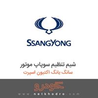 شیم تنظیم سوپاپ موتور سانگ یانگ اکتیون اسپرت 