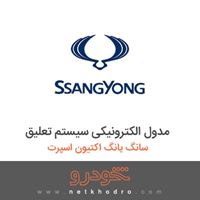مدول الکترونیکی سیستم تعلیق سانگ یانگ اکتیون اسپرت 