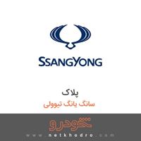پلاک سانگ یانگ تیوولی 2018