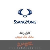 کابل رابط سانگ یانگ تیوولی 2018